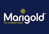 Marigold