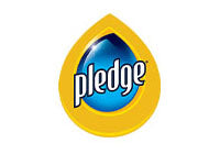 Pledge