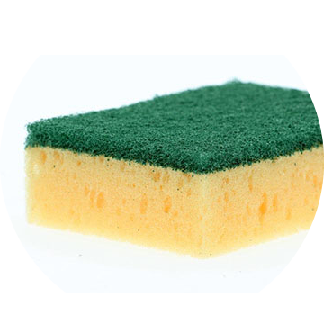 Sponge Scourer