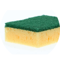 Sponge Scourer