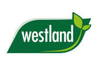 Westland