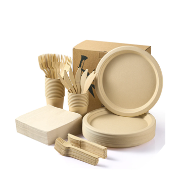 Disposable Tableware