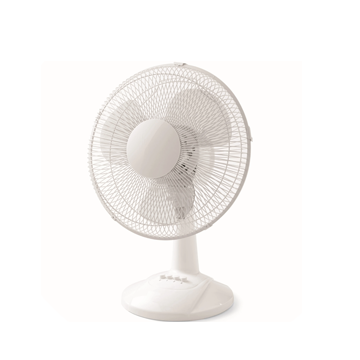Fans