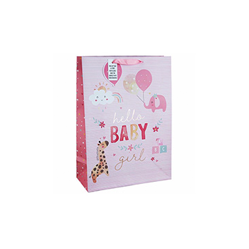 Gift Bags / Boxes / Wrap