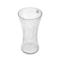 Glass Vases