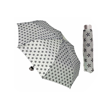 Umbrella / Rainwear