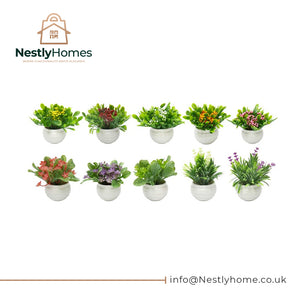 Artificial Decor Plant 10asst