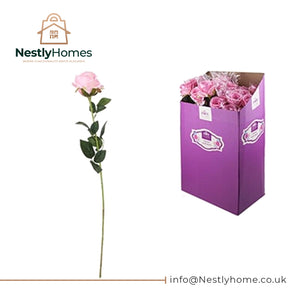 Luxury Pink Rose in Pvc Sleeve