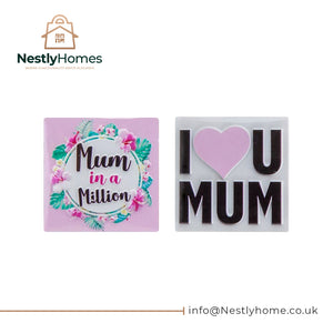 Mother's Day Mum Magnet in Bag