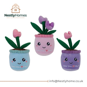 Mothers Day Softlings Pot Plant Mum