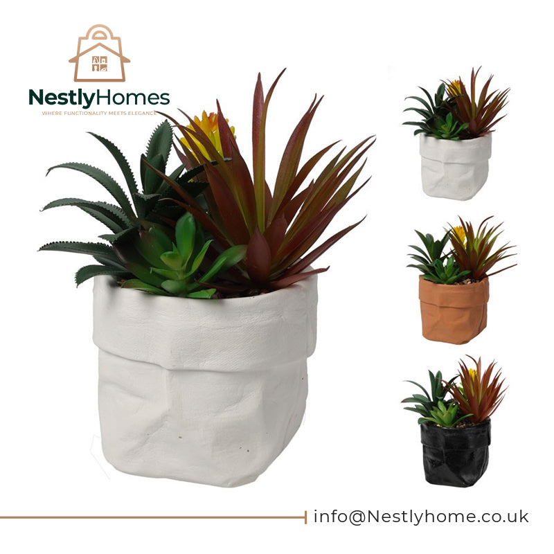 PLANT IN POT 20CM ASSORTED