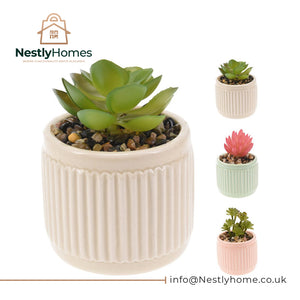 Plant with Pot Dolomite 7x9cm